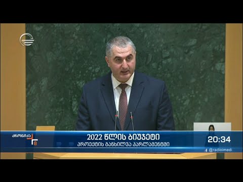 2022 წლის ბიუჯეტი - პროექტის განხილვა პარლამენტში